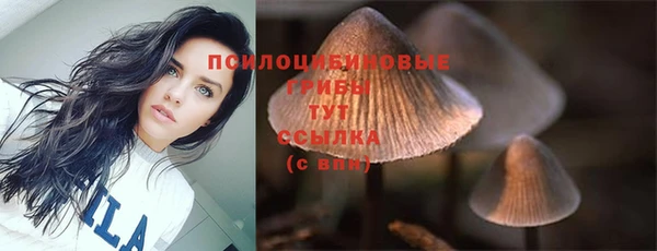 каннабис Баксан