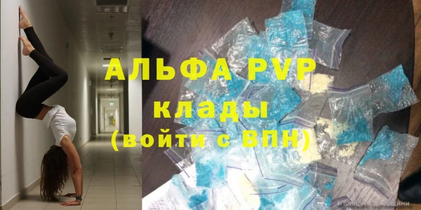 молекула духа Алексеевка