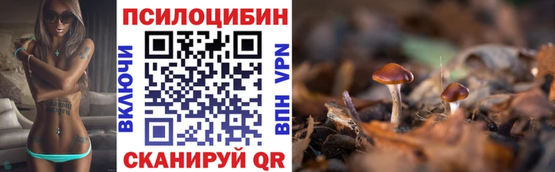 mega ССЫЛКА  Навашино  Псилоцибиновые грибы Magic Shrooms 
